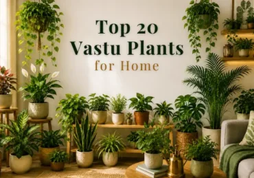 Vastu plants for home
